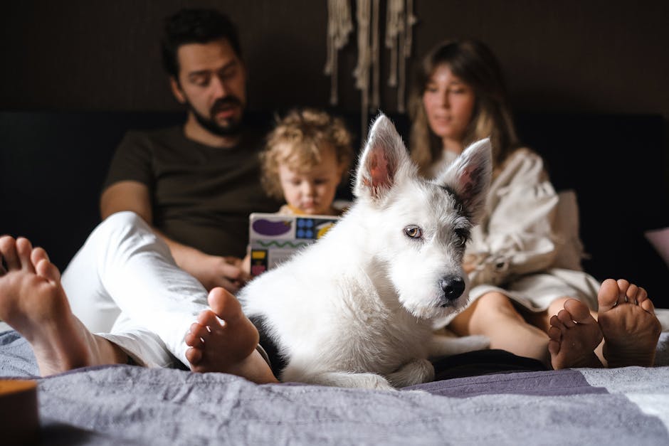 Familia y perro en casa, imagen representativa de protección familiar y seguros para el hogar.